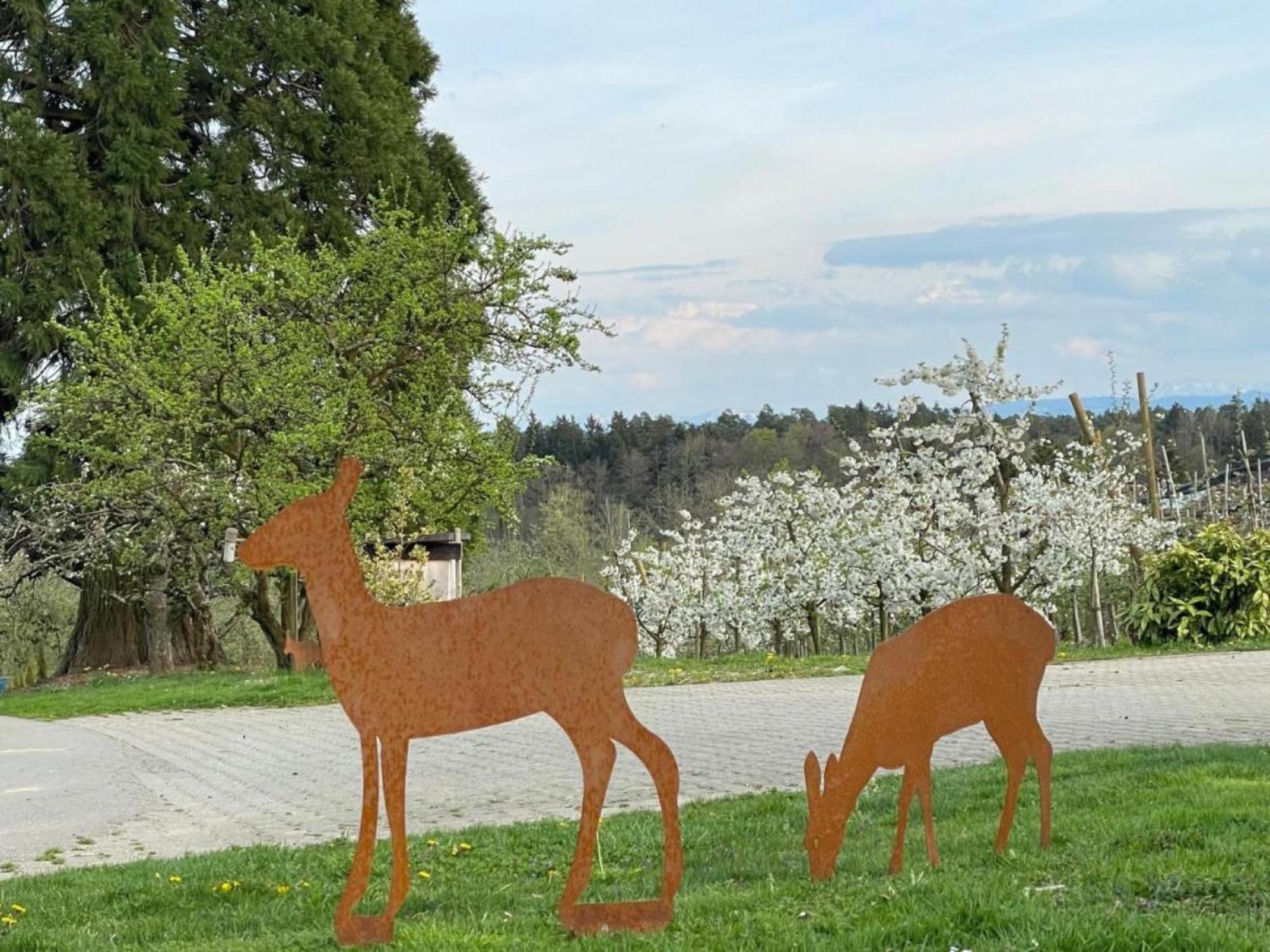 Bergchalet Mirabell - Hofgut FDH المظهر الخارجي الصورة