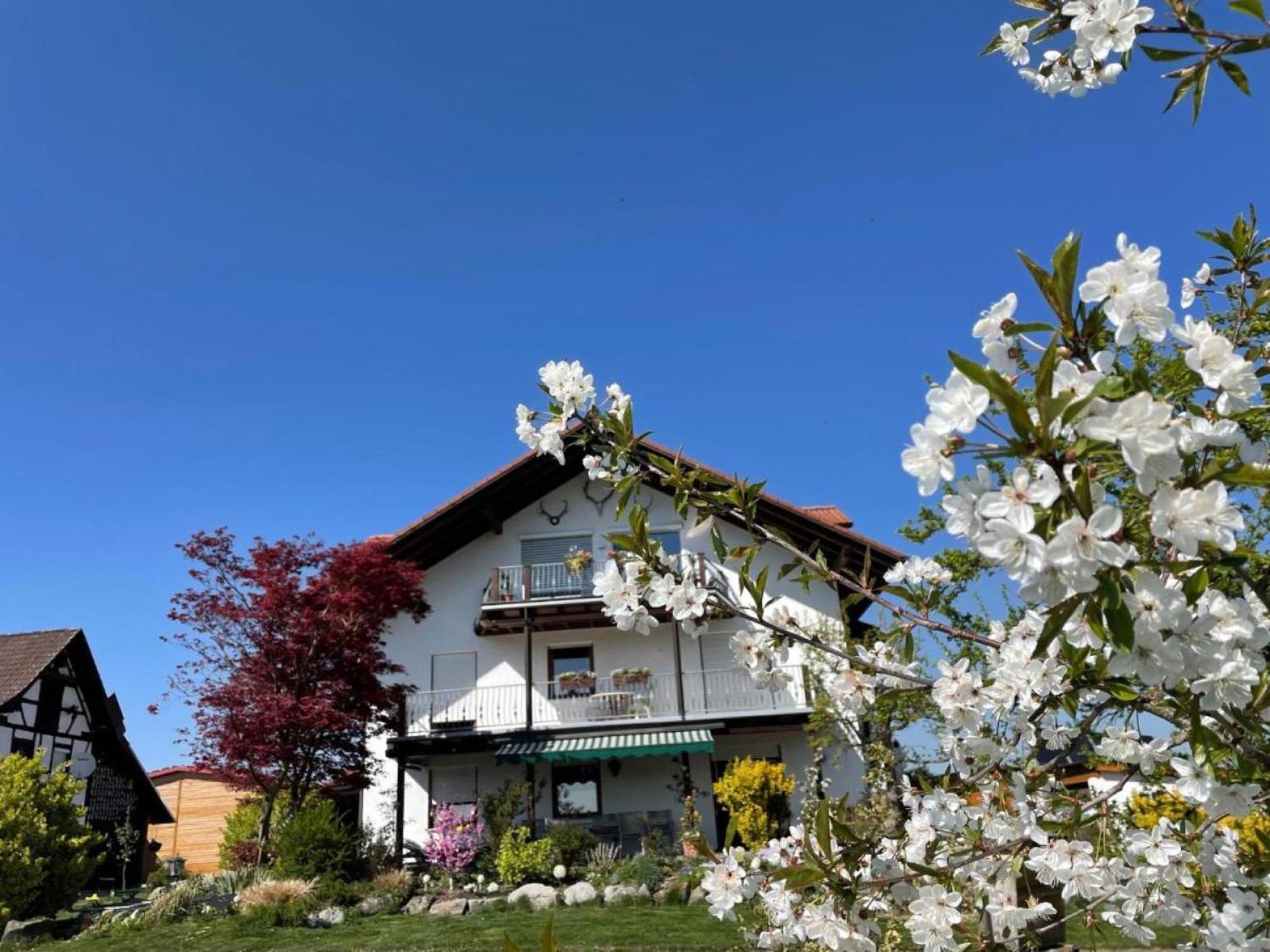 Bergchalet Mirabell - Hofgut FDH المظهر الخارجي الصورة