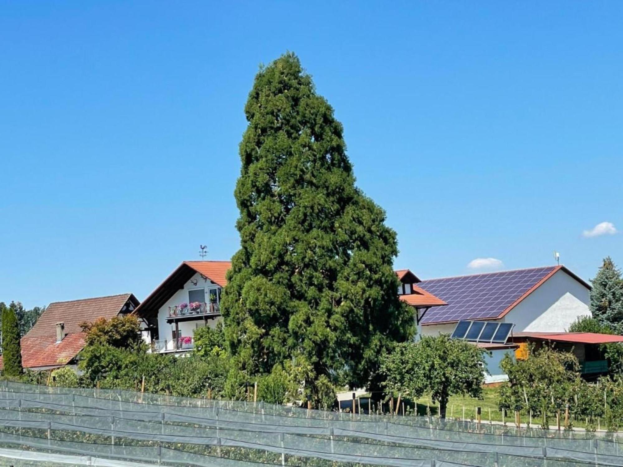 Bergchalet Mirabell - Hofgut FDH المظهر الخارجي الصورة