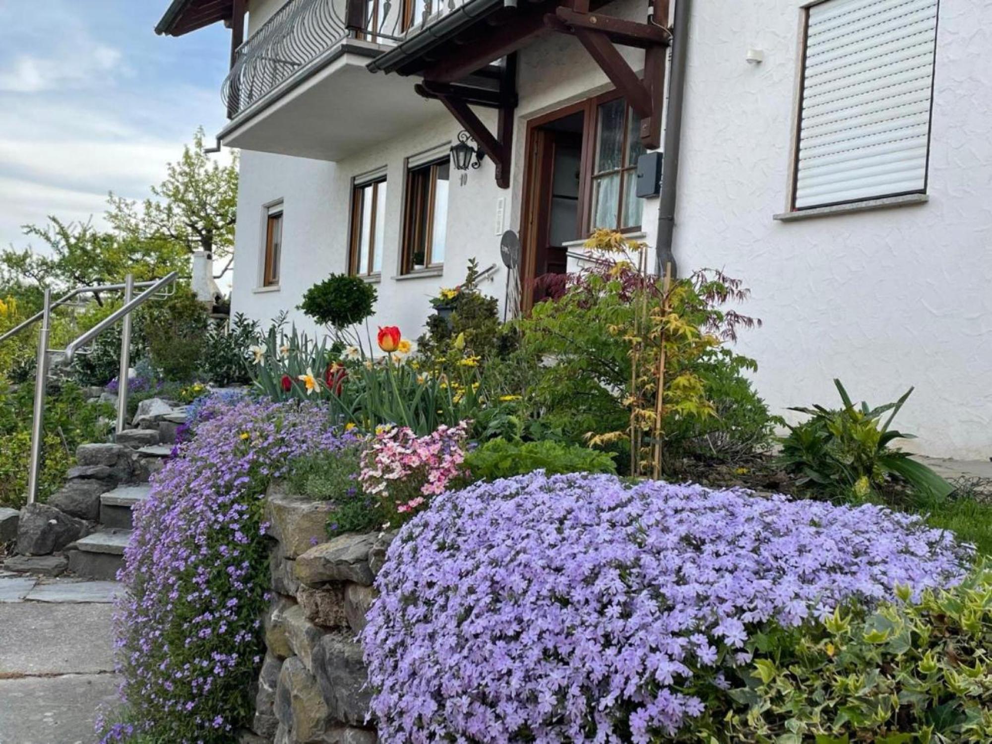 Bergchalet Mirabell - Hofgut FDH المظهر الخارجي الصورة