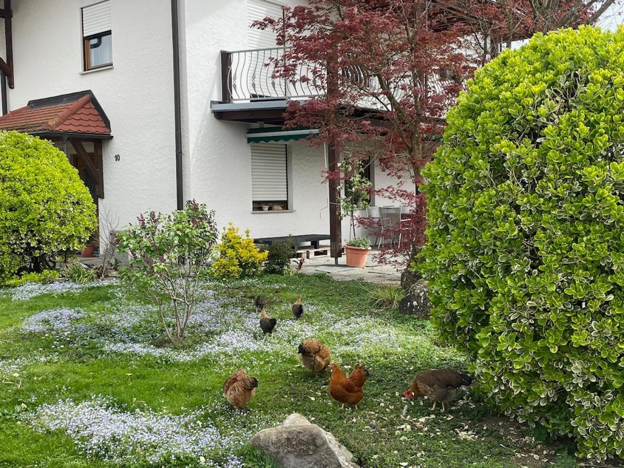 Bergchalet Mirabell - Hofgut FDH المظهر الخارجي الصورة