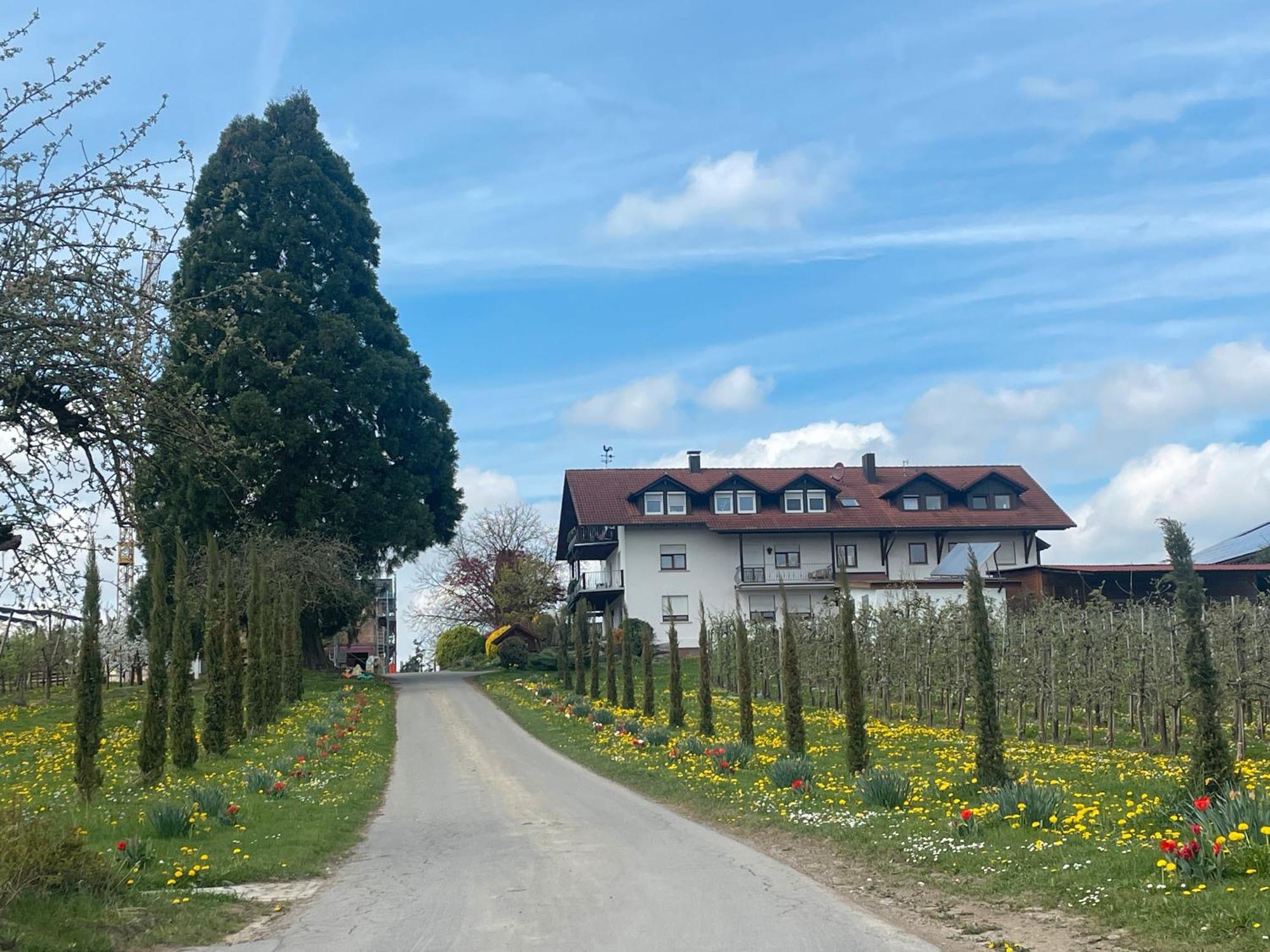 Bergchalet Mirabell - Hofgut FDH المظهر الخارجي الصورة